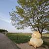 comment-small-img