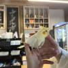 comment-small-img