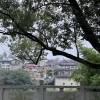 comment-small-img