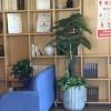 comment-small-img