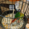 comment-small-img