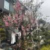 comment-small-img
