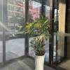 comment-small-img