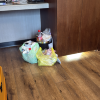 comment-small-img