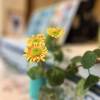 comment-small-img