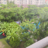 comment-small-img