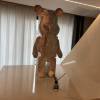 comment-small-img