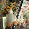 comment-small-img