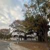comment-small-img