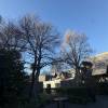 comment-small-img