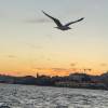 comment-small-img