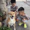 comment-small-img