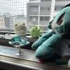 comment-small-img