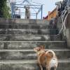 comment-small-img