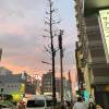 comment-small-img
