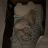 comment-small-img