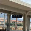comment-small-img