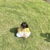 comment-small-img