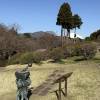 comment-small-img