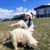 comment-small-img