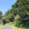 comment-small-img