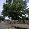 comment-small-img