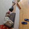 comment-small-img