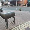 comment-small-img
