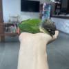 comment-small-img