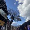 comment-small-img