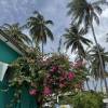comment-small-img