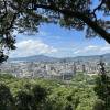 comment-small-img