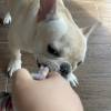 comment-small-img