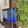 comment-small-img