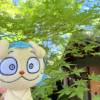 comment-small-img