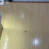 comment-small-img