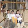 comment-small-img