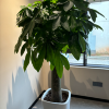 comment-small-img
