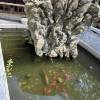 comment-small-img