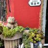 comment-small-img