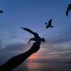 comment-small-img