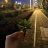 comment-small-img