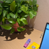 comment-small-img