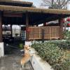 comment-small-img