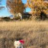 comment-small-img