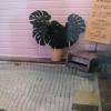 comment-small-img