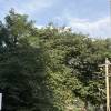 comment-small-img