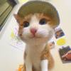 comment-small-img