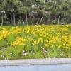 comment-small-img