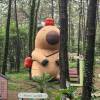 comment-small-img